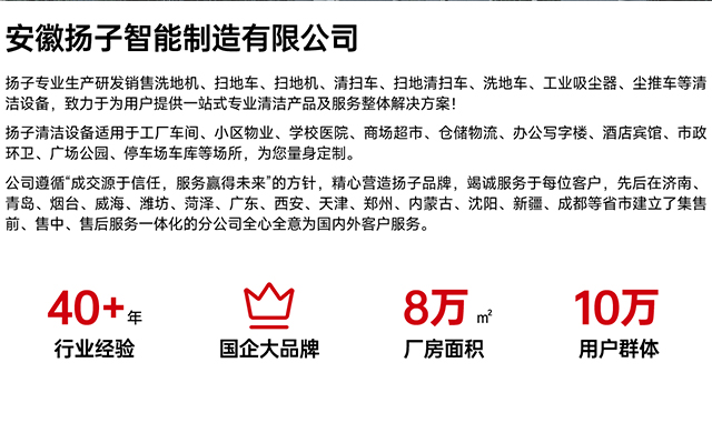安徽扬子智能制造有限公司