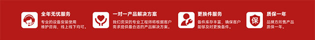 扬子升降机服务